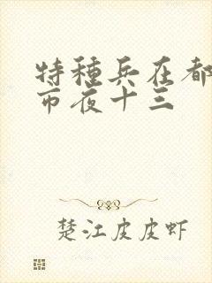 特种兵在都市都市夜十三