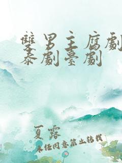 双男主腐剧韩剧泰剧台剧