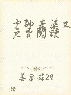 少帅老婆又跑了免费阅读