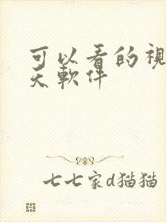 可以看的视频聊天软件