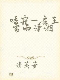 嗜宠—夜王狂妃 处雨潇湘