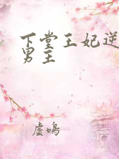 下堂王妃逆袭记男主