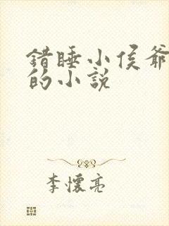 错睡小侯爷他爹的小说