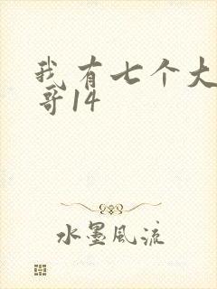 我有七个大佬哥哥14