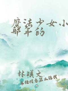 魔法少女小圆是哪年的