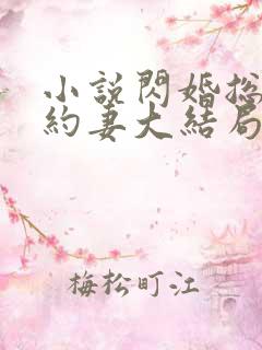 小说闪婚总裁契约妻大结局