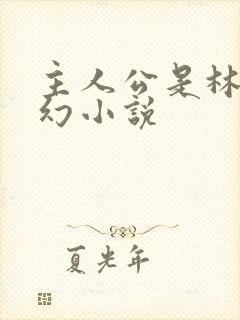 主人公是林天玄幻小说