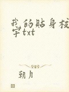 我的贴身校花唐宇txt