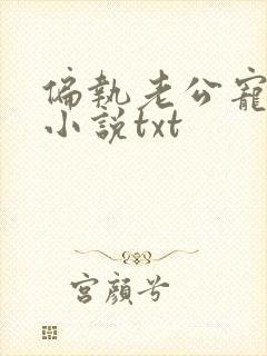 偏执老公宠上天小说txt