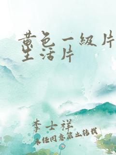 黄色一级片夫妻生活片