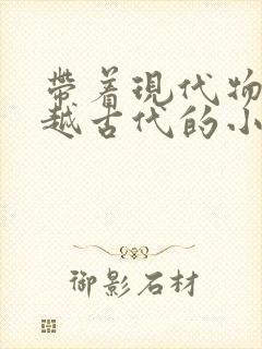 带着现代物资穿越古代的小说