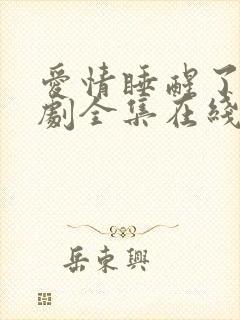 爱情睡醒了电视剧全集在线观看高清