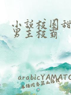 小说校园甜宠文男主校霸