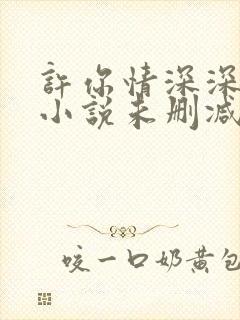 许你情深深似海小说未删减版