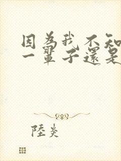 因为我不知道下一辈子还是否能遇见你