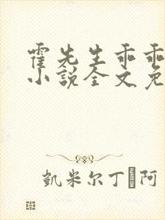 霍先生乖乖宠我小说全文免费阅读无弹窗