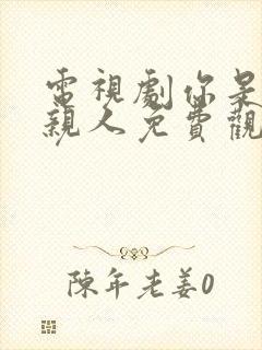 电视剧你是我的亲人免费观看全集高清