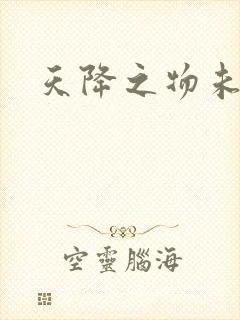 天降之物未删减