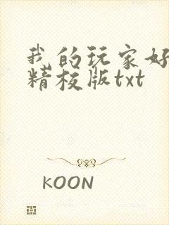 我的玩家好凶猛精校版txt