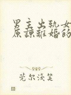 男主出轨女主不原谅离婚的小说