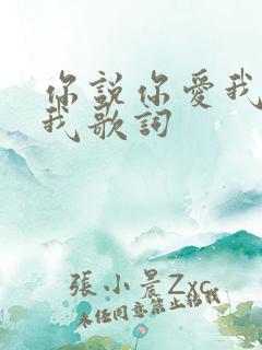 你说你爱我你想我歌词