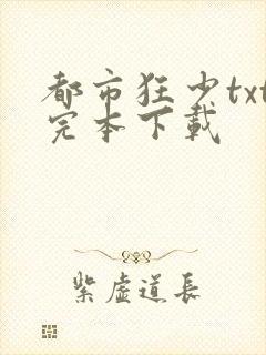 都市狂少txt完本下载