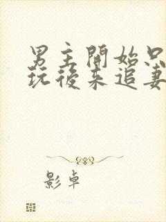 男主开始只是玩玩后来追妻火葬场