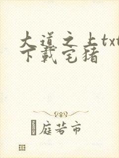 大道之上txt下载宅猪