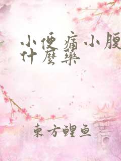 小便痛小腹痛吃什么药