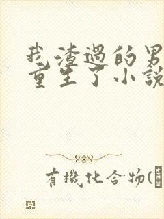 我渣过的男人都重生了小说