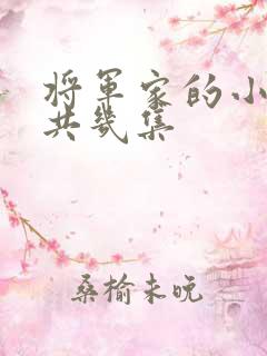 将军家的小娘子共几集