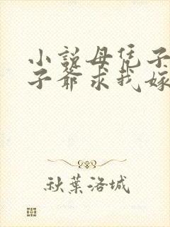 小说母凭子贵太子爷求我嫁入豪门