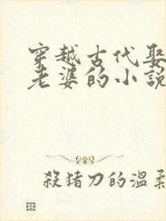 穿越古代娶三个老婆的小说