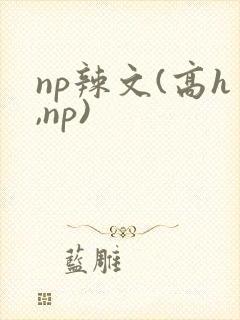 np辣文(高h,np)