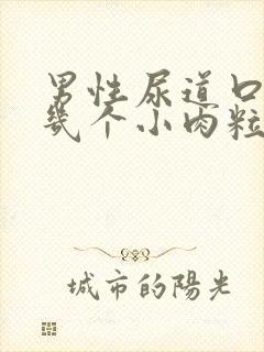 男性尿道口长了几个小肉粒