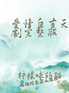 爱情自有天意短剧完整版