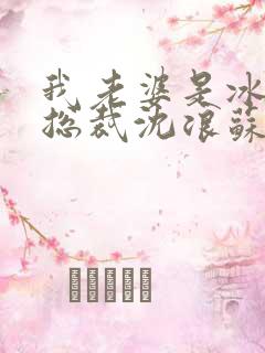 我老婆是冰山女总裁沈浪苏若雪