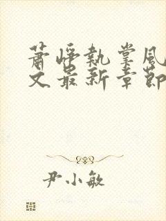 萧峥执掌风云全文最新章节