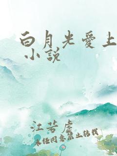 白月光爱上替身 小说