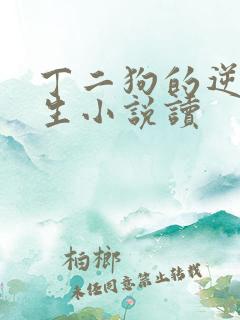 丁二狗的逆袭人生小说读