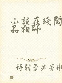 小说在线阅读超品相师