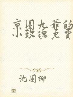 京圈九爷的重生小玫瑰免费