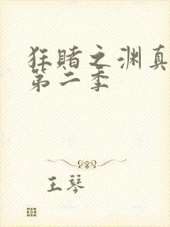 狂赌之渊真人版第二季