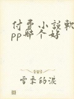 付费小说软件app哪个好