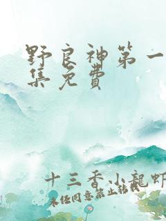 野良神第一季全集免费