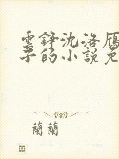 云铮沈洛雁六皇子的小说免费阅读