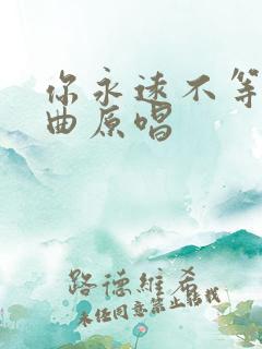 你永远不等我歌曲原唱