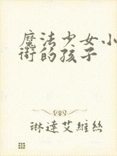 魔法少女小圆伪街的孩子