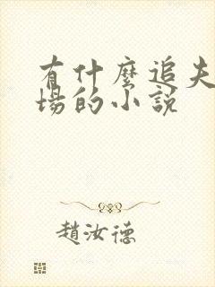 有什么追夫火葬场的小说