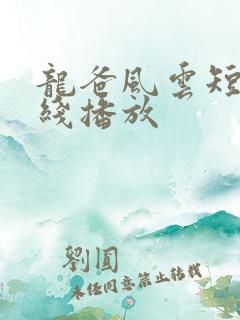 龙爸风云短剧在线播放